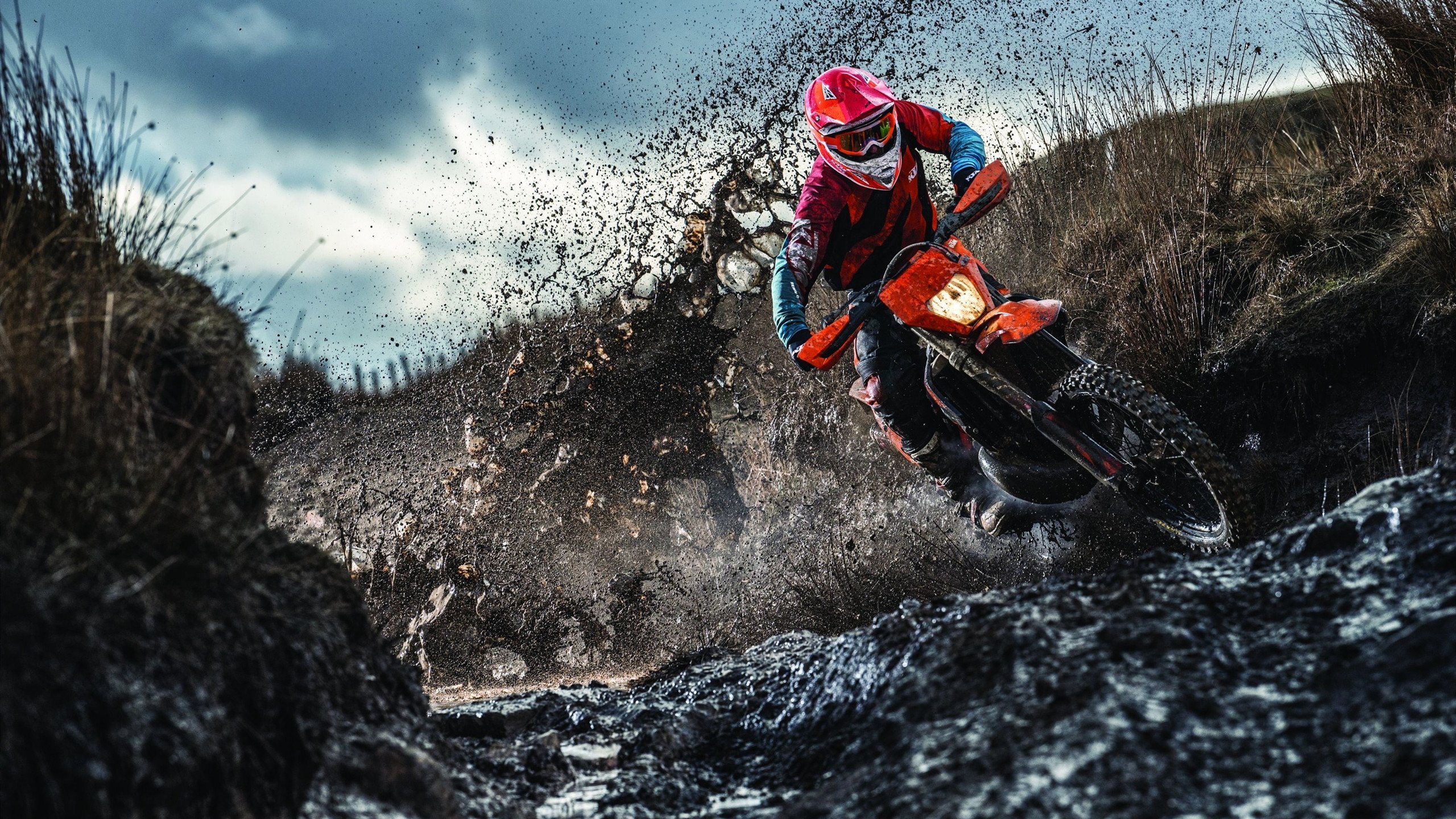 _都市骑行节:倡导绿色出行新风尚_,骑行发现城市之美