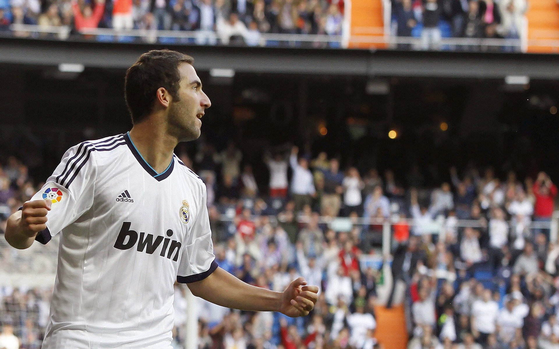 开云品牌-史上最震撼“冠军战役”回忆，激动人心！，冠军的视频